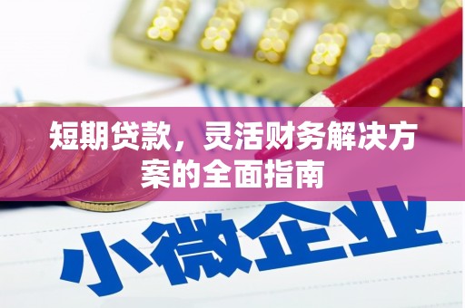 扶绥短期贷款，灵活财务解决方案的全面指南