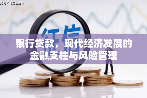 扶绥银行贷款，现代经济发展的金融支柱与风险管理