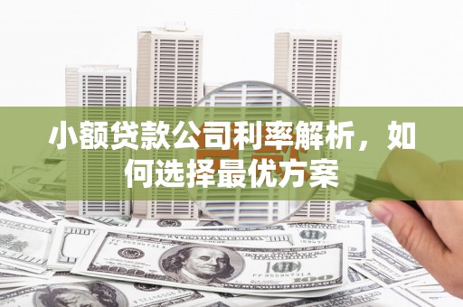 扶绥小额贷款公司利率解析，如何选择最优方案