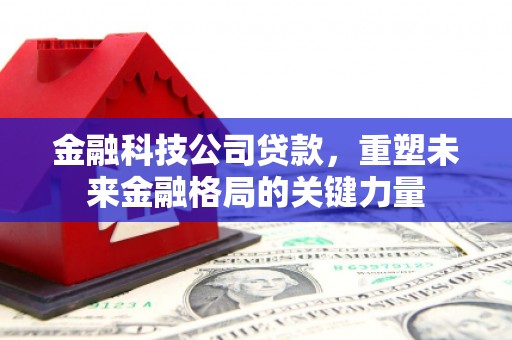 扶绥金融科技公司贷款，重塑未来金融格局的关键力量