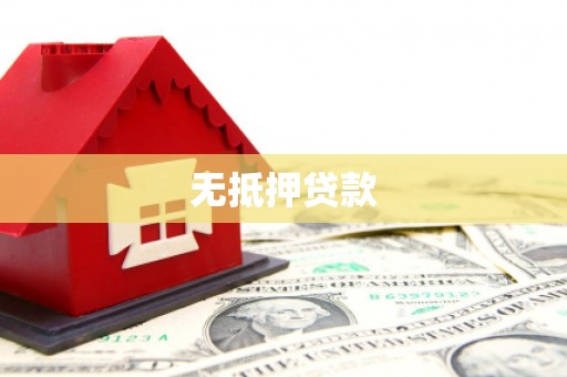 扶绥无抵押贷款