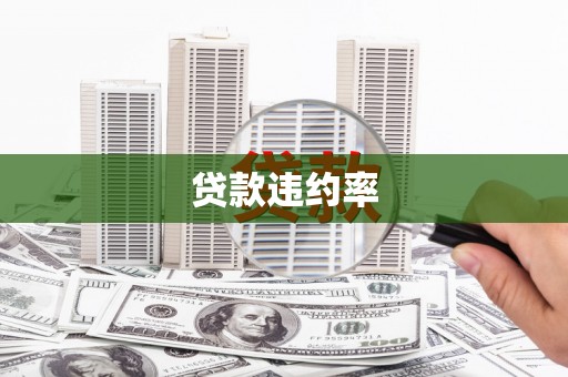扶绥贷款违约率