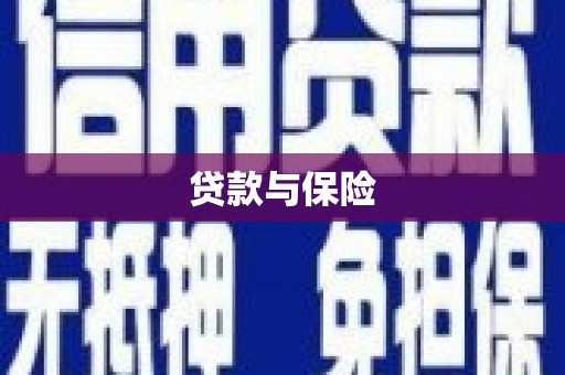 扶绥贷款与保险