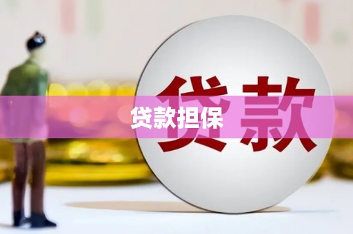 扶绥贷款担保