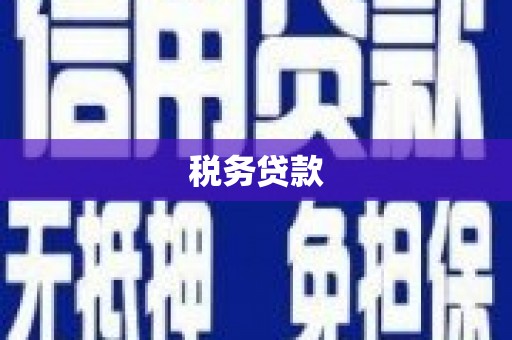 扶绥税务贷款