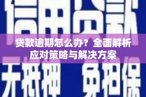 扶绥贷款逾期怎么办？全面解析应对策略与解决方案