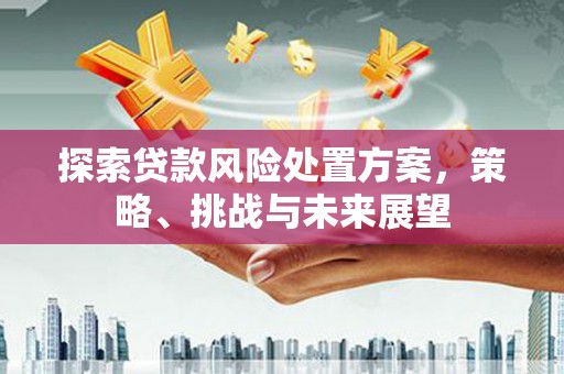 扶绥探索贷款风险处置方案，策略、挑战与未来展望