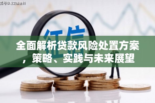 扶绥全面解析贷款风险处置方案，策略、实践与未来展望