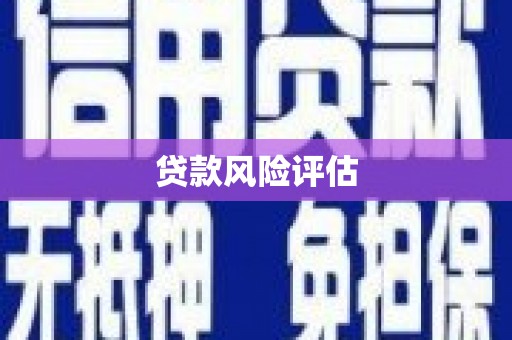 扶绥贷款风险评估