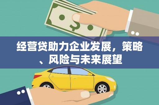 扶绥经营贷助力企业发展，策略、风险与未来展望