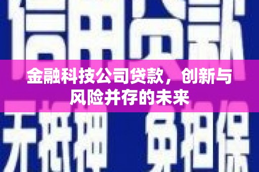 扶绥金融科技公司贷款，创新与风险并存的未来
