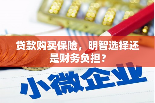 扶绥贷款购买保险，明智选择还是财务负担？