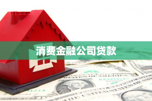 扶绥消费金融公司贷款