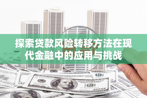 扶绥探索贷款风险转移方法在现代金融中的应用与挑战