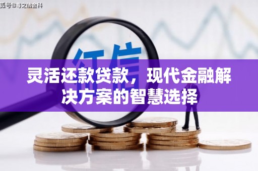 扶绥灵活还款贷款，现代金融解决方案的智慧选择