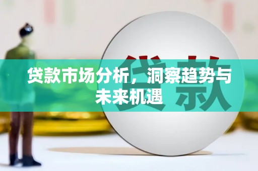 扶绥贷款市场分析，洞察趋势与未来机遇