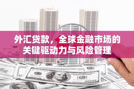 扶绥外汇贷款，全球金融市场的关键驱动力与风险管理