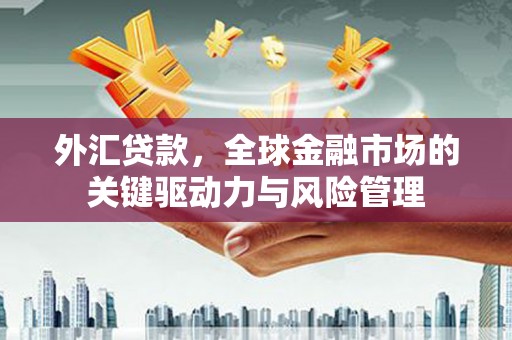 扶绥外汇贷款，全球金融市场的关键驱动力与风险管理