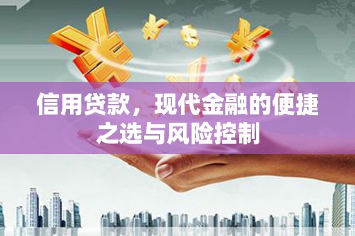 扶绥信用贷款，现代金融的便捷之选与风险控制