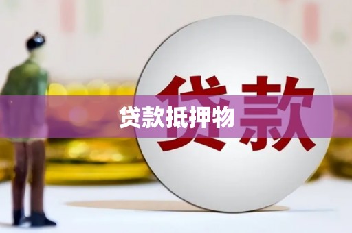 扶绥贷款抵押物