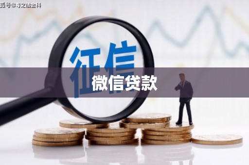 扶绥微信贷款