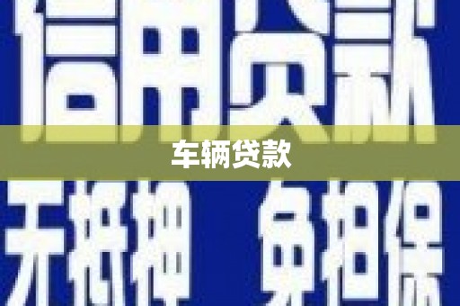扶绥车辆贷款