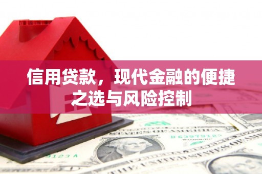 扶绥信用贷款，现代金融的便捷之选与风险控制