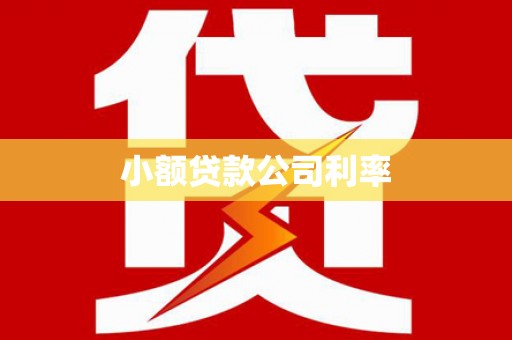 扶绥小额贷款公司利率