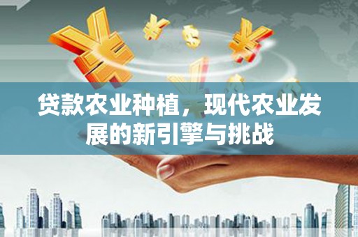 扶绥贷款农业种植，现代农业发展的新引擎与挑战