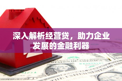 扶绥深入解析经营贷，助力企业发展的金融利器