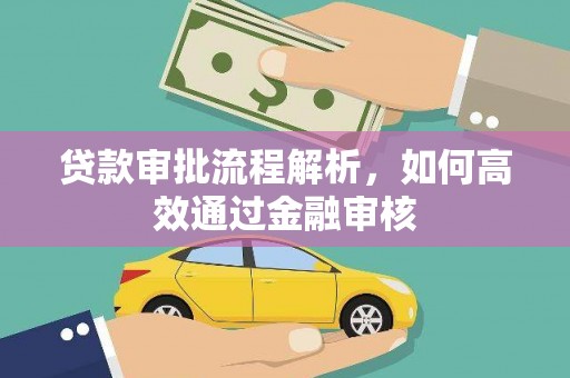 扶绥贷款审批流程解析，如何高效通过金融审核