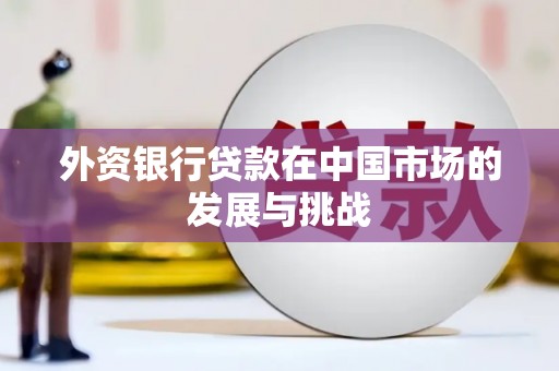 扶绥外资银行贷款在中国市场的发展与挑战