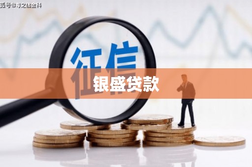 扶绥银盛贷款