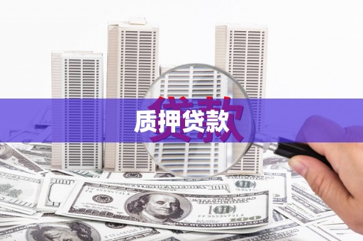 扶绥质押贷款