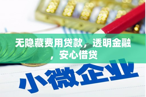 扶绥无隐藏费用贷款，透明金融，安心借贷