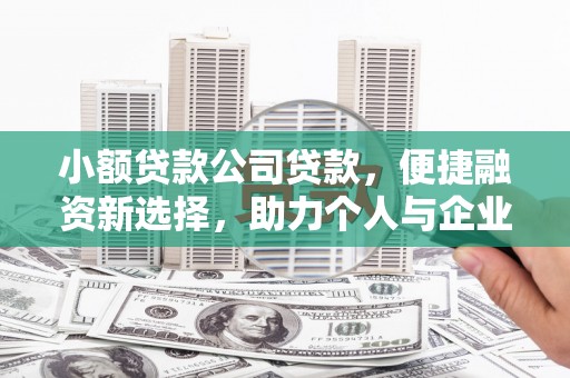 扶绥小额贷款公司贷款，便捷融资新选择，助力个人与企业成长