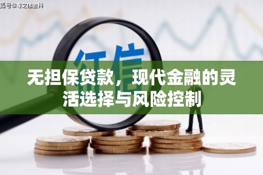 扶绥无担保贷款，现代金融的灵活选择与风险控制