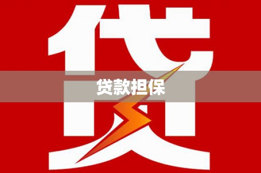 扶绥贷款担保
