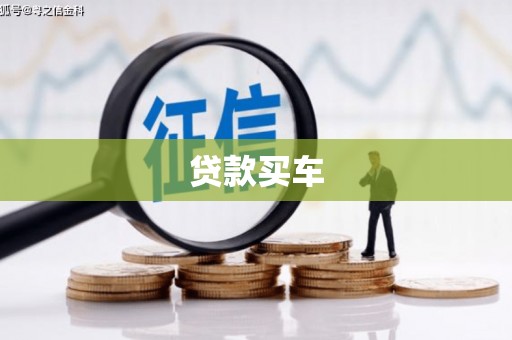 扶绥贷款买车