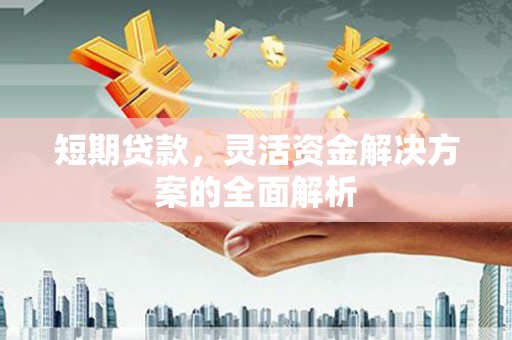 扶绥短期贷款，灵活资金解决方案的全面解析