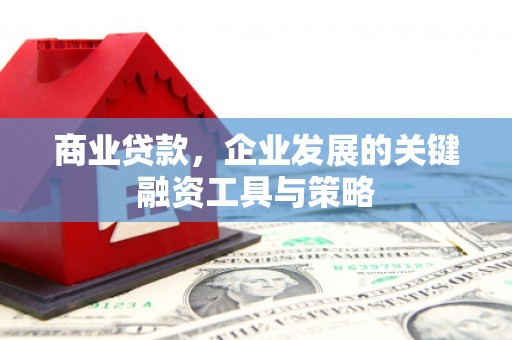 扶绥商业贷款，企业发展的关键融资工具与策略