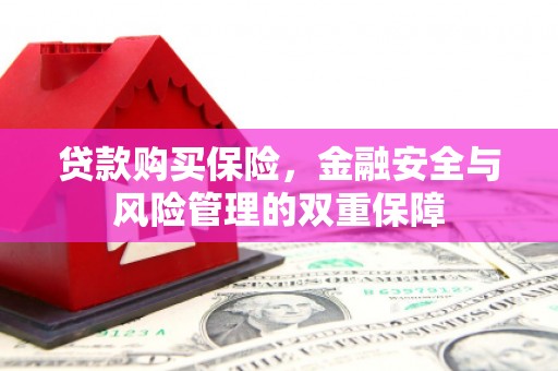 扶绥贷款购买保险，金融安全与风险管理的双重保障