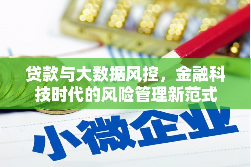 扶绥贷款与大数据风控，金融科技时代的风险管理新范式