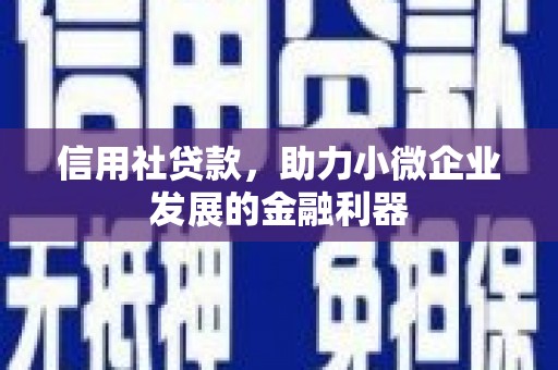 扶绥信用社贷款，助力小微企业发展的金融利器