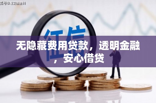 扶绥无隐藏费用贷款，透明金融，安心借贷
