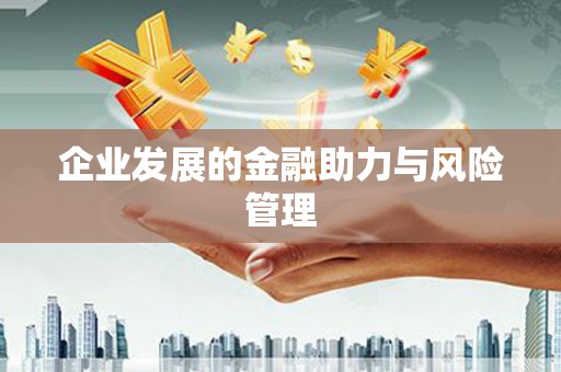 扶绥企业发展的金融助力与风险管理