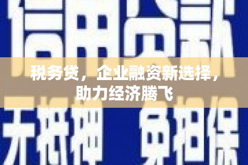 扶绥税务贷，企业融资新选择，助力经济腾飞