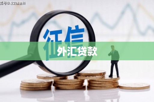 扶绥外汇贷款