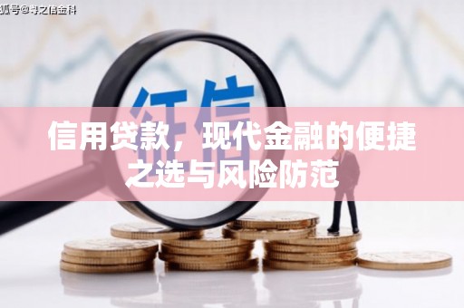 扶绥信用贷款，现代金融的便捷之选与风险防范