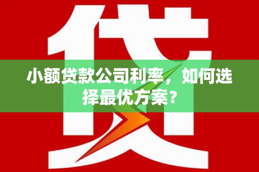 扶绥小额贷款公司利率，如何选择最优方案？